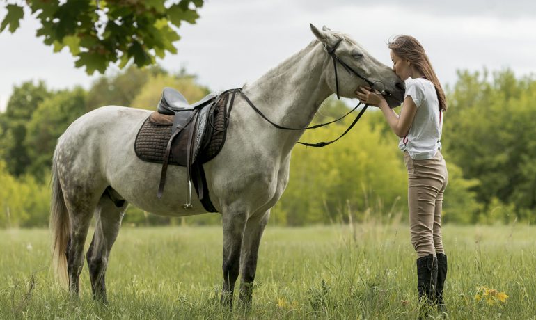 Ismerjék meg állatgyógyászati készülékeinket!